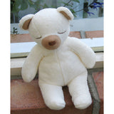 kontex コットンベアS／ぬいぐるみ／メーカー取り寄せ（1週間以内に入荷）