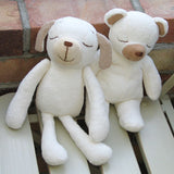 kontex コットンベアS／ぬいぐるみ／メーカー取り寄せ（1週間以内に入荷）