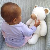 kontex コットンベアM／ぬいぐるみ／メーカー取り寄せ（1週間以内に入荷）