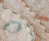 kontex ハンカチ／ミュール