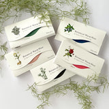 腹巻き付きショーツ／Botanical Warm Wear 遠赤外線